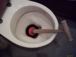 www.draindomain.com_drain_plunger